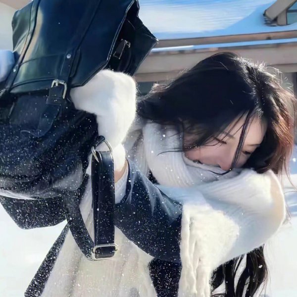 安娜与暹逻王